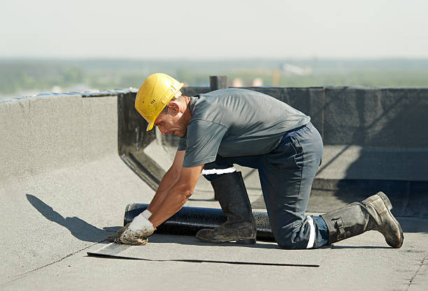 Best Cellulose Insulation in Red Lake Falls, MN