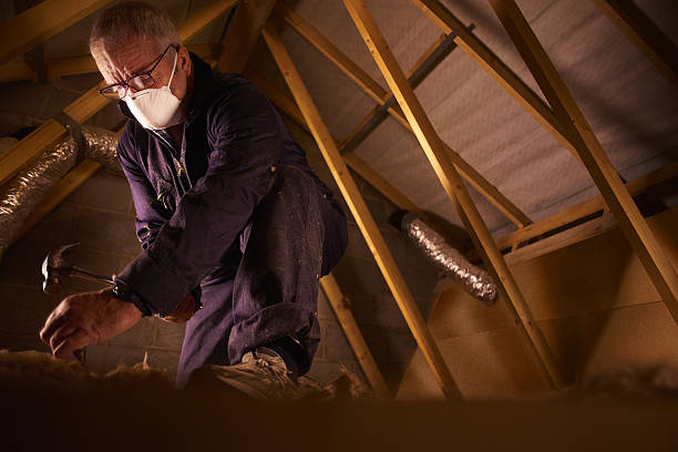 Professional Insulation Contractor in Red Lake Falls, MN